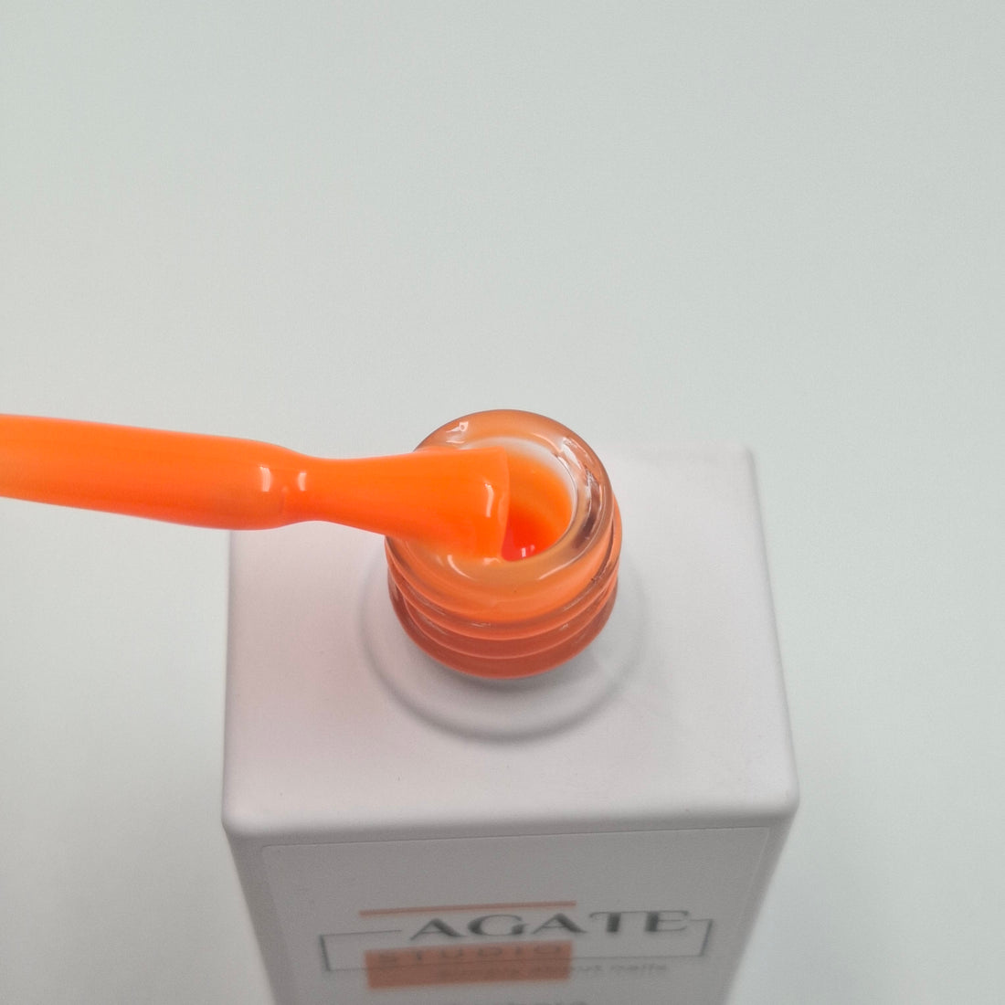 Rubber base GERBERA